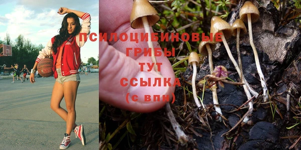 дмт Елабуга
