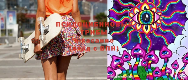 дурь Елизово