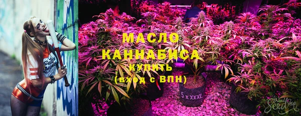 прущий лед Ельня