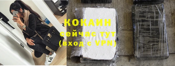 дмт Елабуга