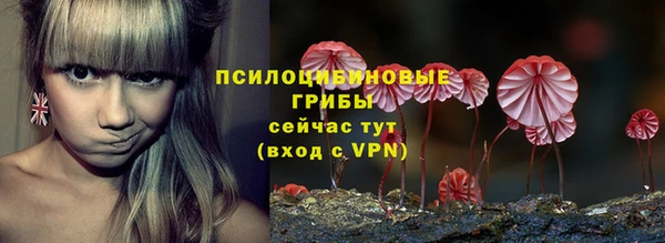 прущий лед Ельня