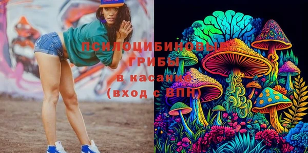 дурь Елизово