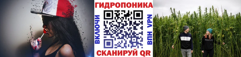 Бошки Шишки MAZAR  Богучар 